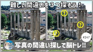 『写真で間違いさがし』の脳トレ！ #247 「フォロロマーノ」「風に揺れるバラ」「大村湾の牡蠣」【高難易度】｜Find the difference game in photos