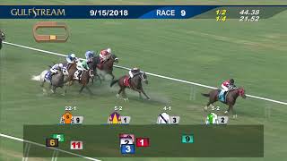 Gulfstream Park September 15, 2018 Race 9