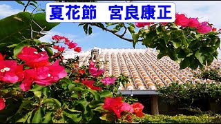 宮良康正　🌈夏花節🌈　CD音源　歌詞付き　👇歌詞👇