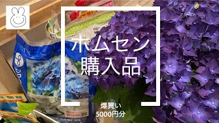 園芸商品を5000円分爆買いしました！1つ1つ紹介します。