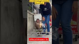 మూగ జీవి కున్న జ్ఞానం మనుషులకి లేదు  #shorts #monkey #love #royaldreamer4u #royaldreamershorts #help