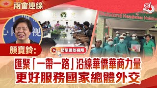 兩會連線 ｜ 顏寶鈴：匯聚「一帶一路」沿線華僑華商力量 更好服務國家總體外交