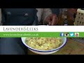 the allotment kitchen courgette and bacon carbonara