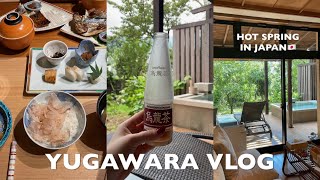 【湯河原Vlog】一時帰国中に家族で温泉♨️最高すぎる旅館で日本を堪能🇯🇵✨Hotspring trip in Yugawara【Japan Trip】【阿しか里】