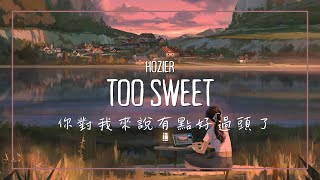 你對我來說實在是有些好過頭了 / Hozier - Too Sweet 【中文字幕】