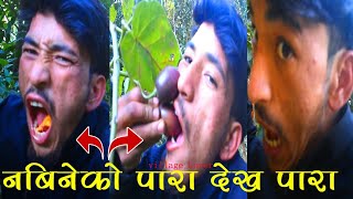 Village Life style Jajarkot Kushe ||म नबिनेको पारा देख परा || Nabbu Vlog 2023|| Hamro Duniya