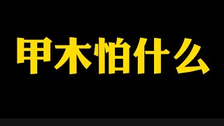 【准提子说八字易学】甲木最怕什么？