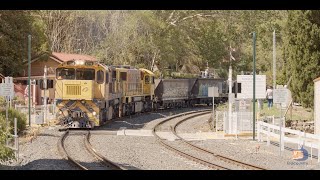 Coal Trains at Spring Bluff