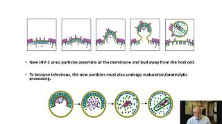 Resistance To Darunavir and Fifth Generation HIV Protease Inhibitors