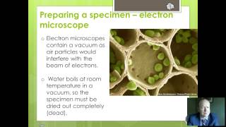OCR Biology 2 Slide preparation and artefacts