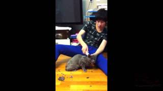 120211 始源上傳希澈剃希範 siwon upload heechul shaved heebum