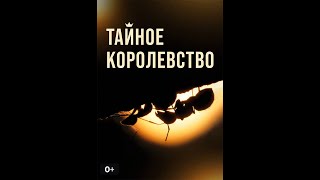 ЖИВОПИСНЫЙ ФИЛЬМ ПРОТКРОШЕЧНЫХ СУЩЕСТВ! Тайное королевство. Фильмы для детей и взрослых