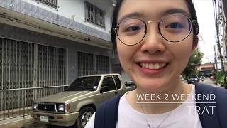 善义工｜我在泰国做义工的那些日子 ［6 Weeks AIESEC Education Voluntary Project］