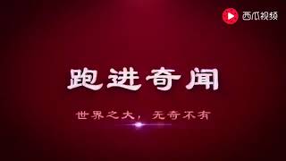 中国再次征服世界各国！在沙漠种水稻，国外砖家看到稻谷后跪了！