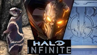 Halo Infinite | Secretos y Curiosidades que NO Sabias del NUEVO mapa Fragmentación