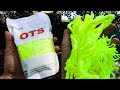 Original Throw Yoyo String Unboxing
