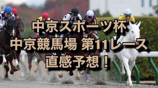 中京スポーツ杯 中京競馬場  第11レース 直感予想！