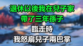 退休以後，我在兒子家帶了三年孫子，臨走時，我怒扇兒子兩巴掌！#為人處事#生活經驗#情感故事