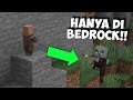 10 Fakta Minecraft Bedrock Yang HANYA DIKETAHUI Sedikit Orang