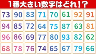 【集中力テスト】一番大きい数字探し【観察力を鍛えよう】