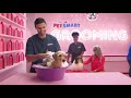 PetSmart Services All Under One Roof