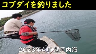 2023年4月 瀬戸内海(コブダイを釣りました)