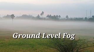 Ground Level fog || Fog kissing the Paddy Plants || Etteri