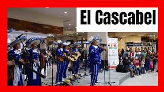 El Cascabel - Mariachi Viva México