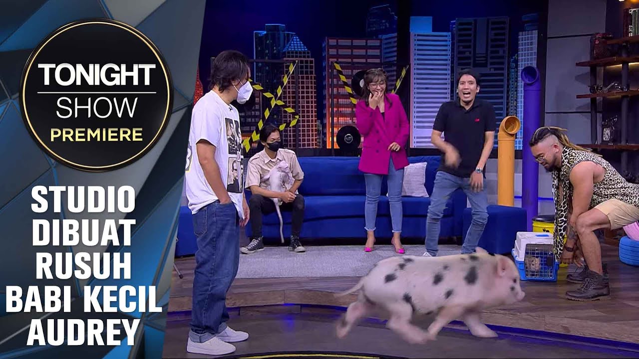 STUDIO RASA KEBUN BINATANG PENUH PELIHARAAN AUDREY "KING OF THE JUNGLE" - Tonight Show Premiere