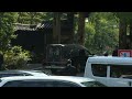 Japan: Hearse carrying Abe's body arrives at temple | AFP