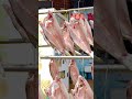 《一夜干❤️》 台南旅遊 將軍漁港 海鮮 旅行 tainan travel fishing port seafood fish