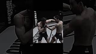 Max holloway flow state #mma #ufc #edit #maxholloway #knockout