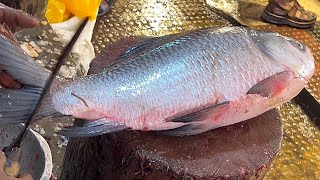Amazing Big Katla Fish Cutting Skills In Fish Market | Fish Cutting Skills