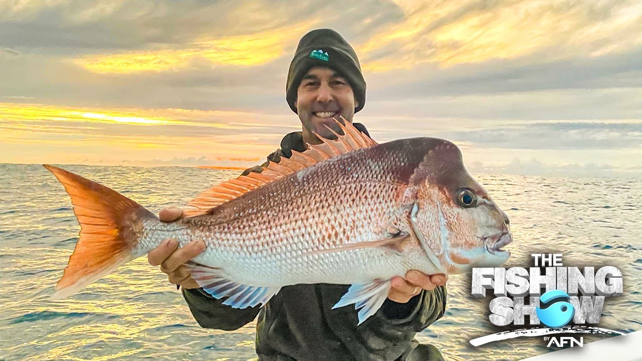 Snapper Fishing Techniques And A Few Almanac Tips - YouTube