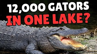 10 Things You Didn’t Know About Orlando