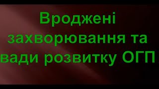 Вроджені захворювання та вади розвитку ОГП (Частина 1)