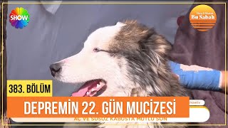 Enkazdan çıkan 22. gün mucizesi | Bu Sabah 383. Bölüm