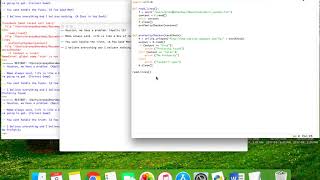 Third python project - Profanity editor