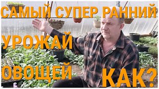 Как вырастить самый супер ранний урожай овощей. Моя мотивация для ведения Уроков по семеноводству