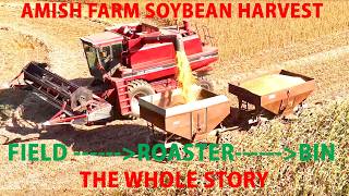 AMISH FARM SOYBEAN HARVEST from  FIELD to ROASTER to BIN...The Whole Process From Start to Finish