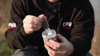 Evolution Introduced - DNA Baits Evolution range