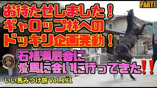 【競馬・馬主・①】お待たせしました❗️ギャロップ林へのドッキリ企画発動‼️石橋満厩舎に愛馬に会いに行ってきた❗️いい馬みつけ旅（Vol.191）