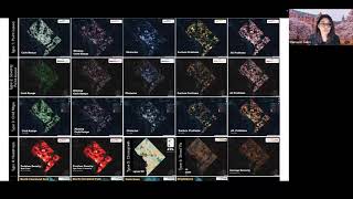 Visualizing Urban Accessibility: Investigating Multi-Stakeholder Perspectives through a ...