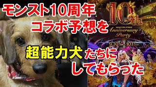 【モンスト】10周年コラボ予想を未来予知する犬にしてもらった！結果はいかに！？