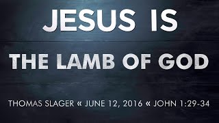 Sermon - John 1:29-34 - Thomas Slager