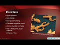 Scarlet Fever Presentation  - BIO 525 Topic 7