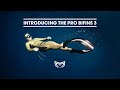 PRO Bifins 3 Explained by Alexey Molchanov