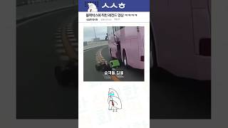 블랙박스에 찍힌 레전드 영상 ㅋㅋㅋㅋ