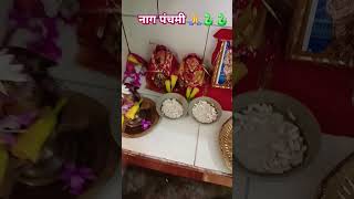 Nagpanchami puja 🙏💐🐍#shorts #youtube #viralvideo #nagpanchami #puja 🥀🌺🙏