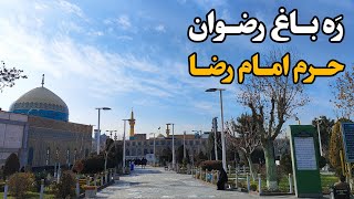 ورودی باغ رضوان به حرم امام رضا Imam Reza Shrine | Mashhad | Iran 2024